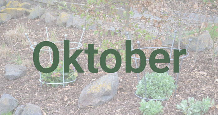 Gartentipps für den Oktober