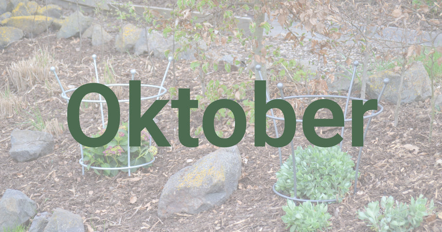 Gartentipps für den Oktober